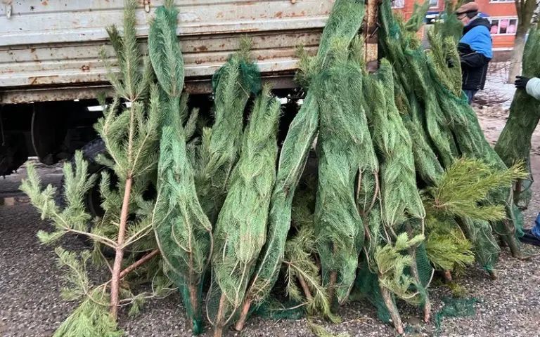 �������� �������������� � ������������� ����� �������� ����������