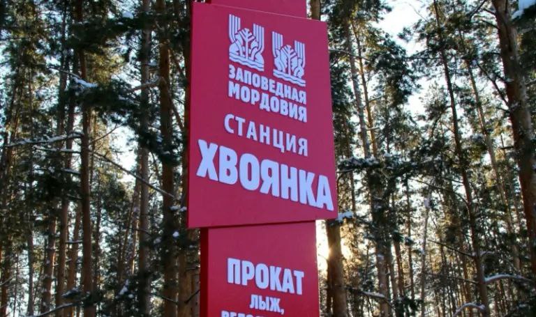 «Заповедная лыжня-2026» пройдет в национальном парке «Смольный» Ичалковского района Мордовии 24 января