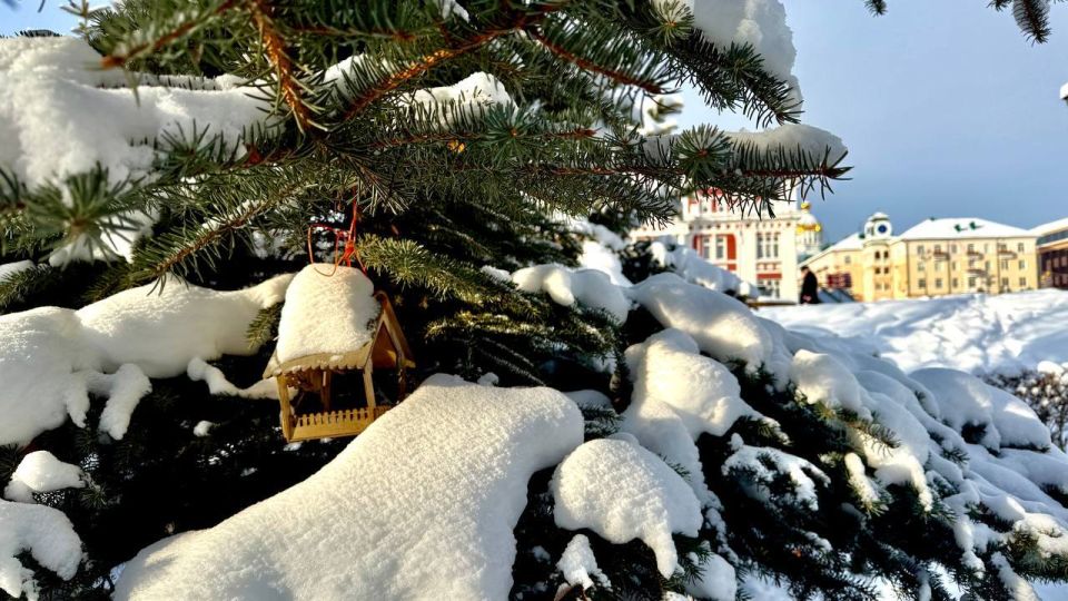 �� ���������� ���� � ������ ����������� ������ �� ����������������� � ����������� ���������� �����: