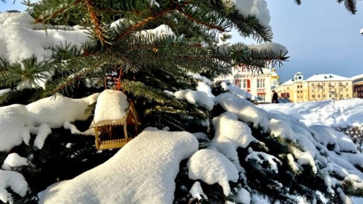 �� ���������� ���� � ������ ����������� ������ �� ����������������� � ����������� ���������� �����: