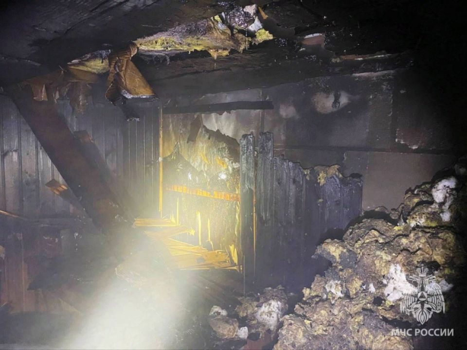 � ���������������� ������ ������ ����