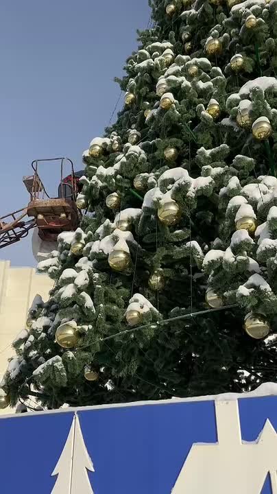 А вы уже убрали ёлку