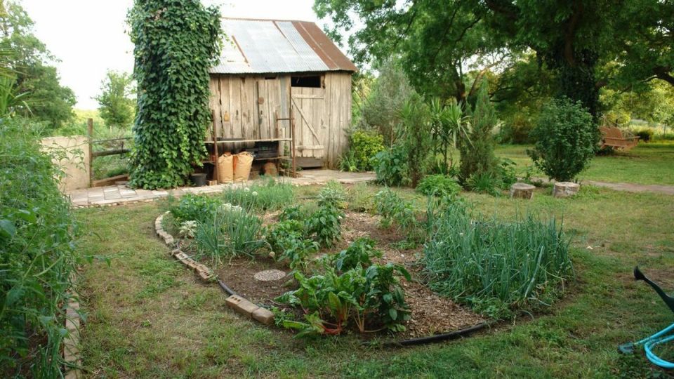 ������� ��� �������� �������: ����� ����� ������ �������� �������?