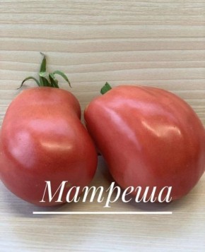 Томат Матреша: как вырастить идеальный урожай с грушевидными плодами