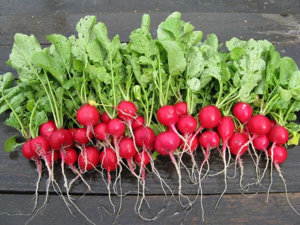 �����: ������, ��� ������ ����