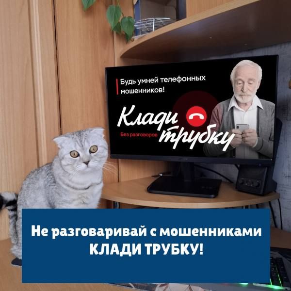 � �������� �������� ����������������� ����������� ������� ���������� ����� 1,6 ��� ������