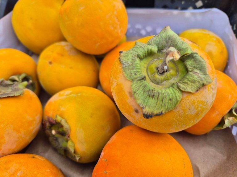 ���������� ��������� ������� ��� ���������� ��������� �����