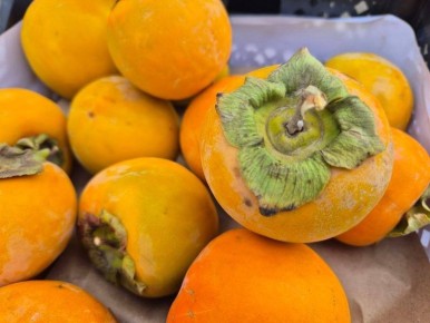 ���������� ��������� ������� ��� ���������� ��������� �����