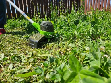 ��� �������� ������� �� ����: 9 ����������� ��������