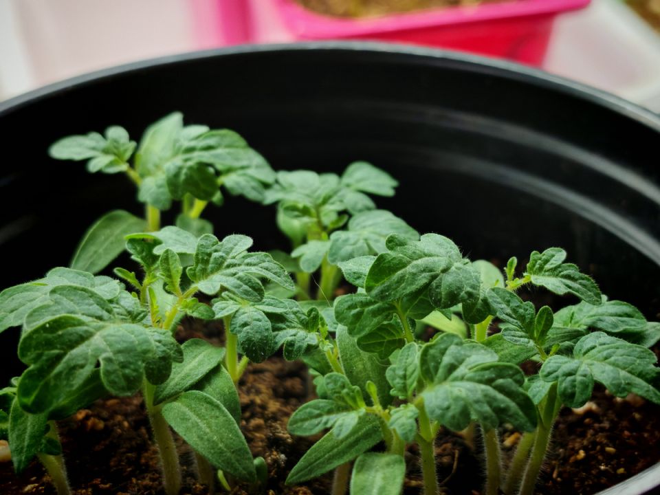 ��������� ����� 2026: �������� ����� ��� ������� ������� � ������