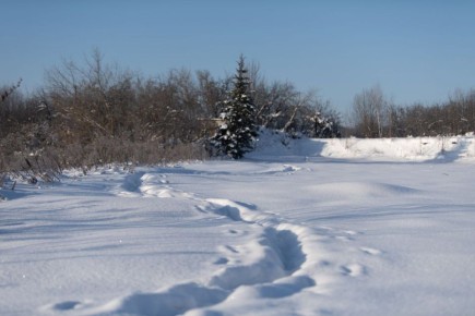 В этом году зима бьёт рекорды