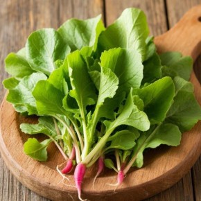 Зимний редис: как вырастить свежие корнеплоды на подоконнике