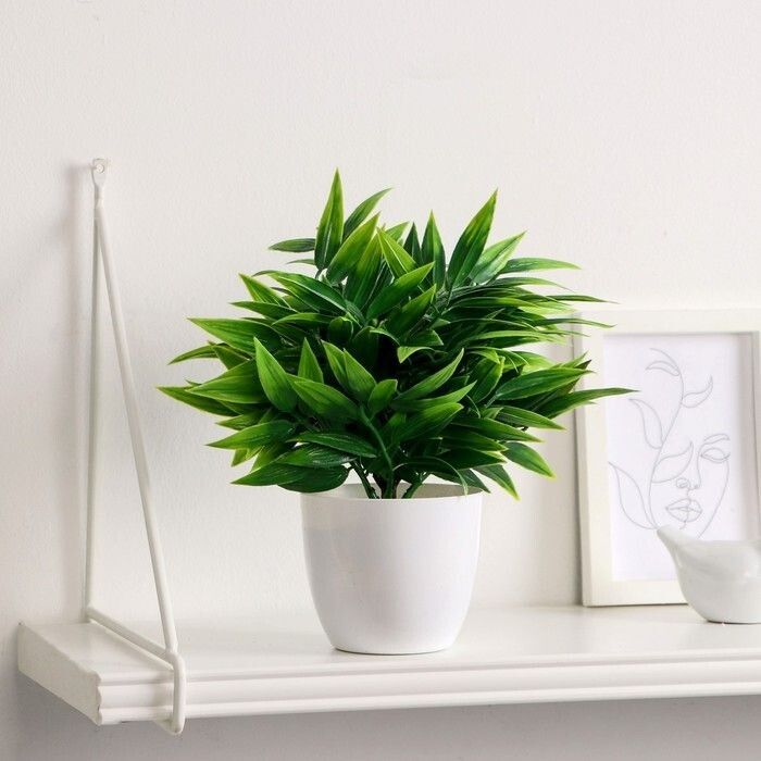 ��� ����� �������� ������ ������������ � ��� ���