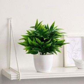 ��� ����� �������� ������ ������������ � ��� ���