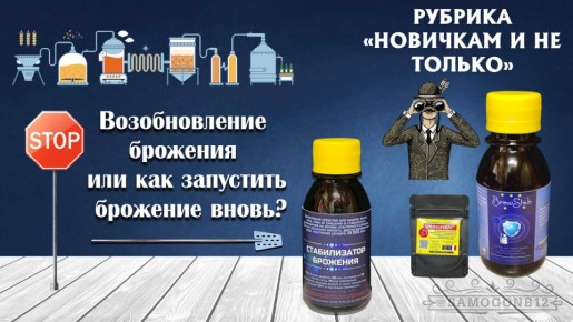 Как возобновить брожение: советы для домашних винокуров