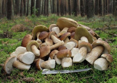 ����� � ���������: ������� ���� � ������� ����� � ��� ������� �� ����� ������