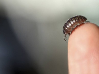 ��� ���������� �� ������ � ������ ��� �����: ��������� ������� ��� ����