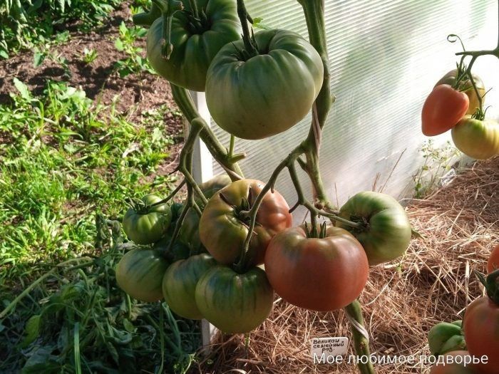 ����� ������� �������� ������� �������� ������ ���� �������: ���������� ����� � ���������� ������ � �����������