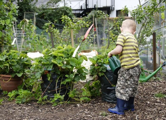 ��� �������������� ������ �� ����������� ������� � ��������� ������