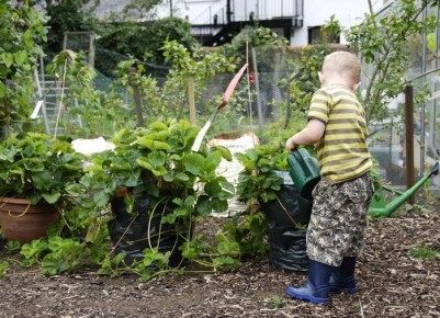 ��� �������������� ������ �� ����������� ������� � ��������� ������