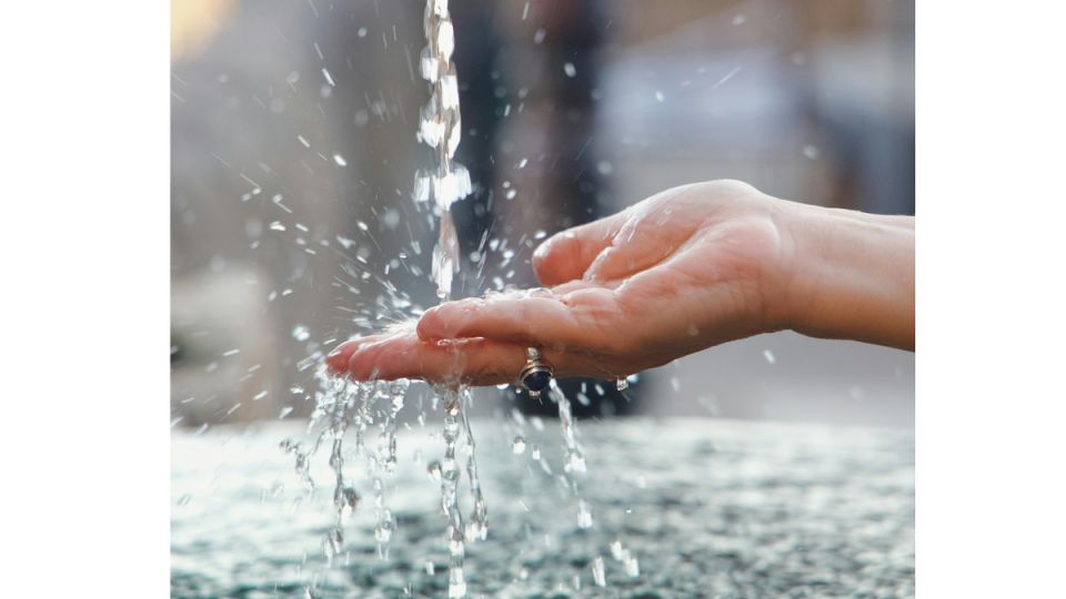 ����� ����� ������ �������� ����� ���������� ������� �� ������������ ��������