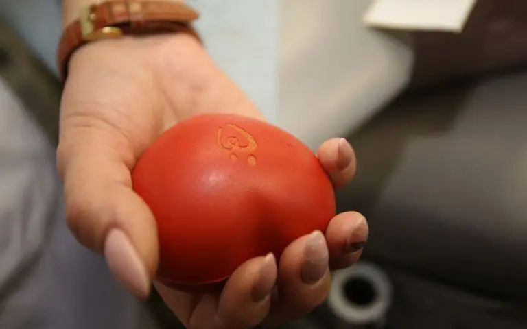 ����������� ��������������� ������� ����������� ����� ������� ����� ���������� ����