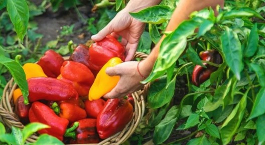 ������� ������� ����� ��� ��������� ����� ��������� ����