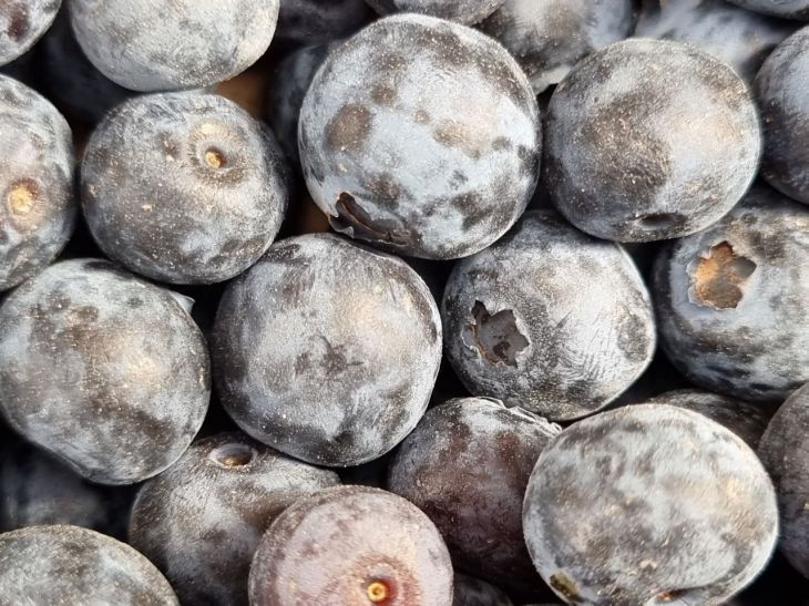 ������� ����� � ����� ����: ���� ������ ����� ����� ������� ������ �� ���� ����