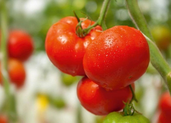 ����� ��� �������: ��� ������� ����� � ������ �������� �������� ������� �����