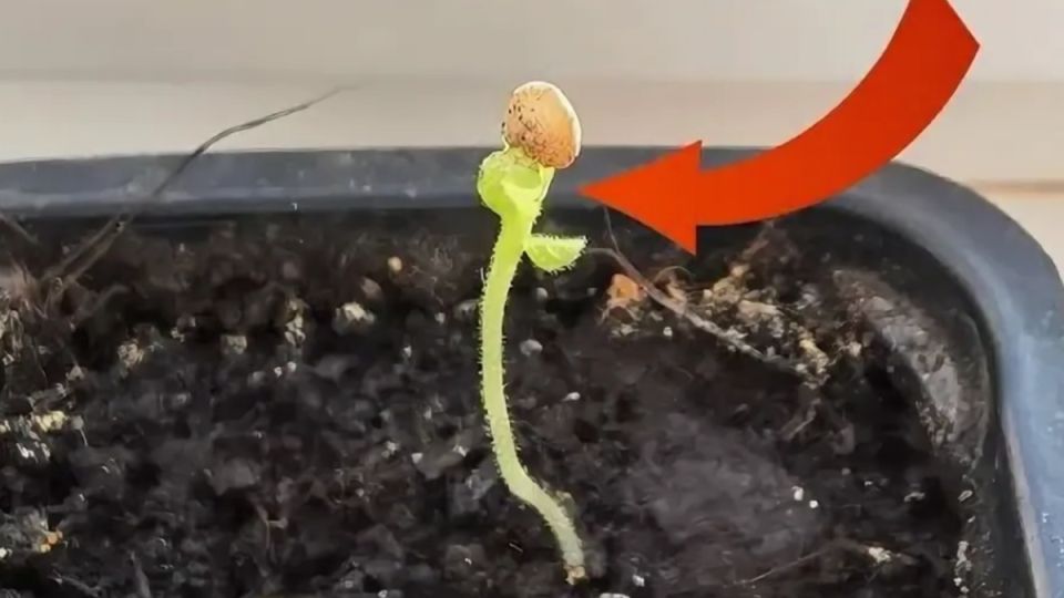 ���������� �������� ��������� ����� ������� ���� � �������� �������