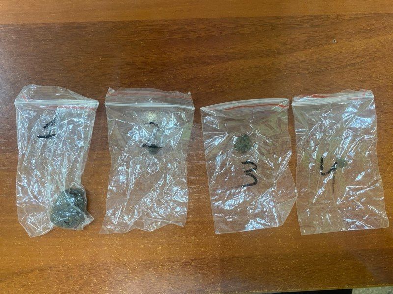 Житель Саранска признан виновным в незаконном сбыте и хранении гашиша