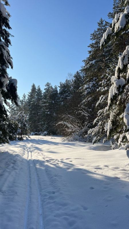 ������ ������ - �� ���� �����! ����� ��� � ���� ����������� �� ����������� ����, ������ ������ �������� ������ ������� ������