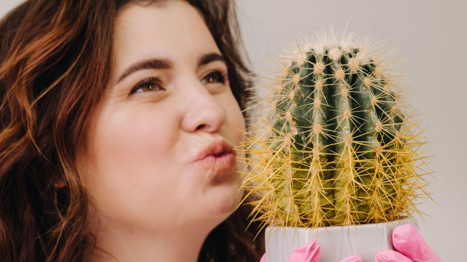 ������ ��� �� �������: ��� ������ �� ������� �������� ������ �� �����