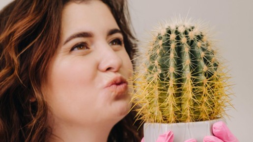 ������ ��� �� �������: ��� ������ �� ������� �������� ������ �� �����