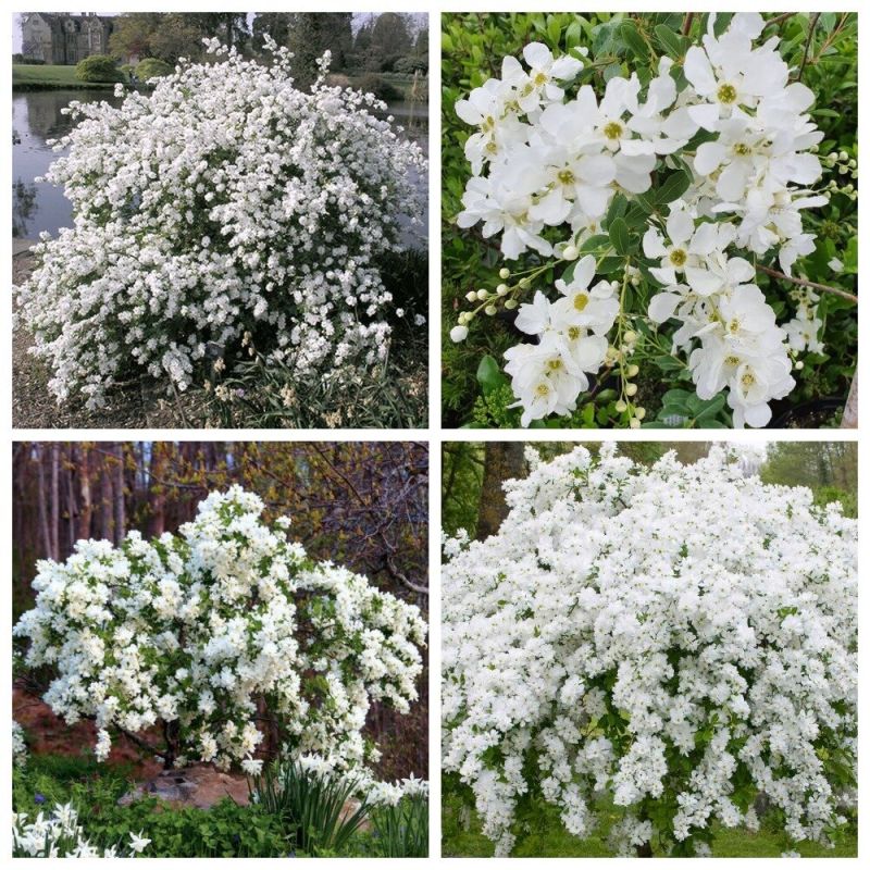 ���������: ���������� �������� ��� ������ ����