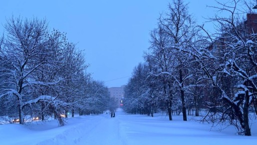 �� ���������� ���� � ������ ����������� ������ �� ����������������� � ����������� ���������� �����: