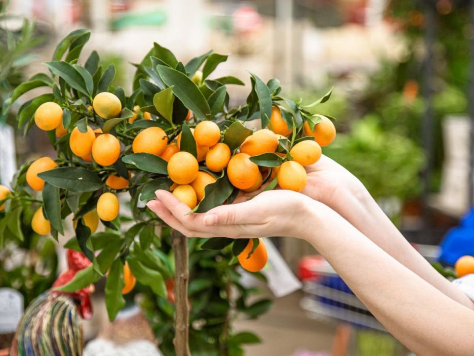 ��� ������� ���� �������� ������ ��������� ������ ����� �����