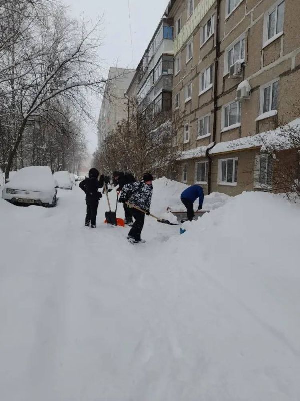 На фото - снежный десант Минземимущества Республики Мордовия!