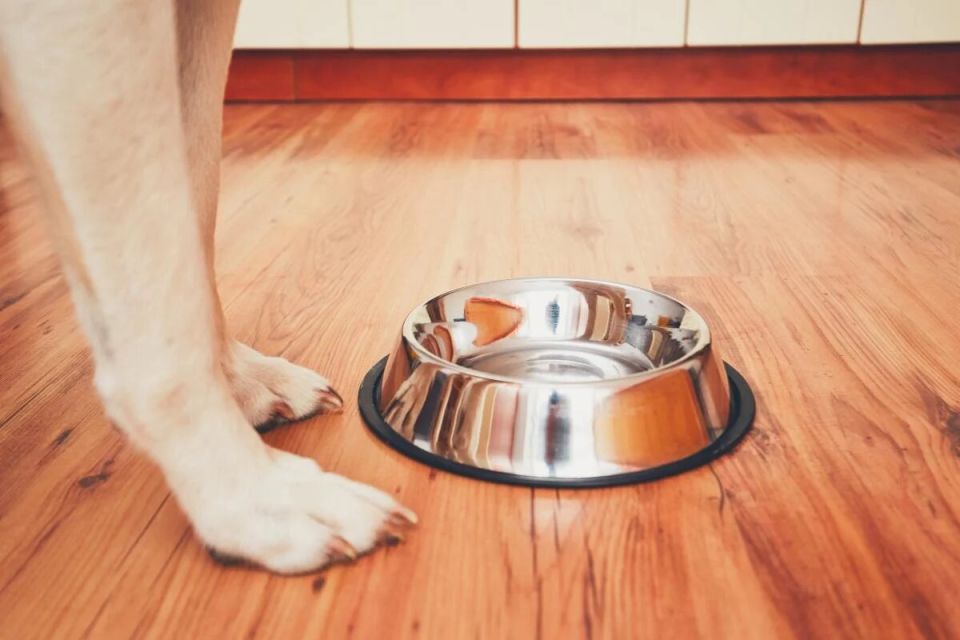 ����� ���������� ������� ��� ����� ��������, ������� ������� ��������