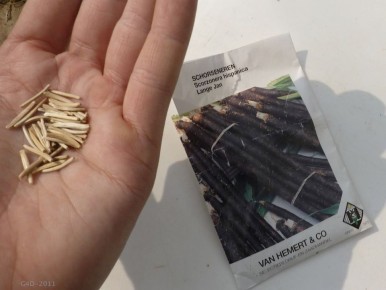 ������� ���������: ������������ ��� �������