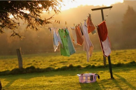 Сушильная машина или солнечная сушка: что выбрать в 2026 году?