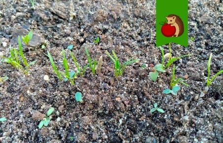 ��� ��������� �������, ������� �� ������ ����������: ������� ��������� ������