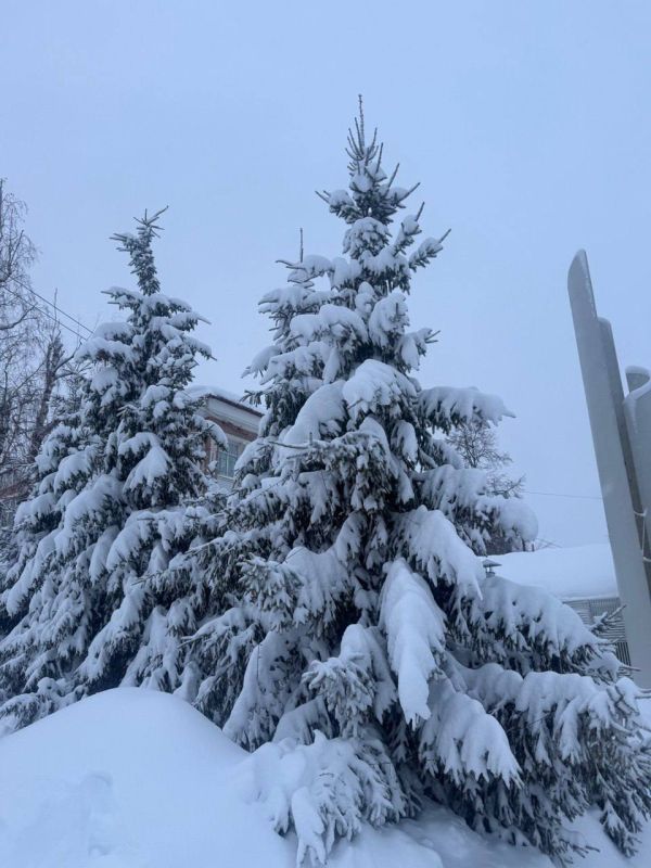 По информации ЕДДС и данным Мордовского центра по гидрометеорологии и мониторингу окружающей среды: