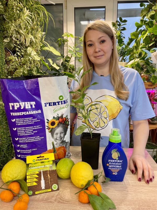 ��������� ����������� ����������� ������: ������ �������