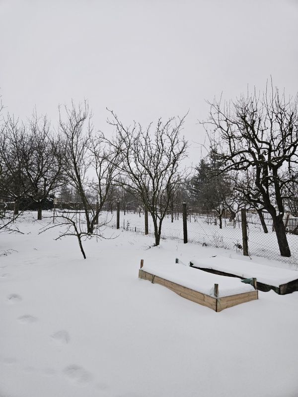 ��� ��������� ����� � �������� ���������: ����� ������� ������������