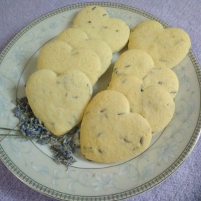 ���������� ��������� ������� � ��������: ������ �� ������