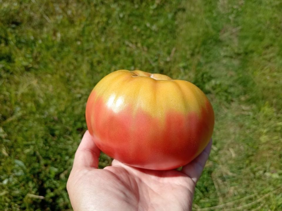 ������ � ��������� ������� ������� � ��� ��� ���������