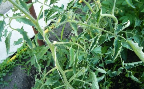 �������� � �������: ��� ������ �������� � �������� ����