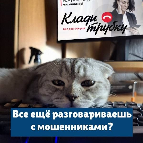 В Саранске учительница из Центра образования №15, общаясь с мошенниками, едва не стала заемщиком нескольких кредитов на миллионную сумму