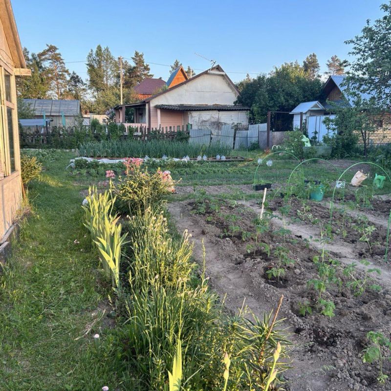 ��� ���������� �������� � ����������� �� ���� ��� ���������